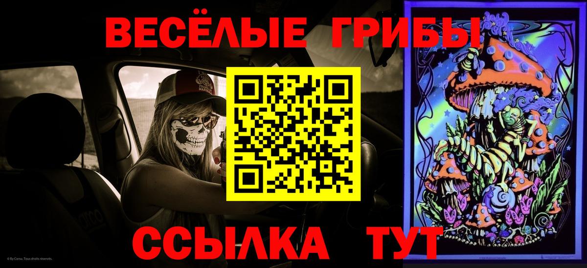 Галлюциногенные грибы Magic Shrooms Ульяновск